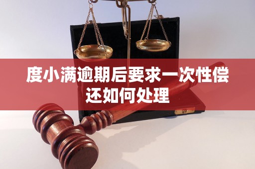 度小满逾期后要求一次性偿还如何处理