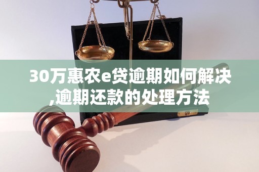 30万惠农e贷逾期如何解决,逾期还款的处理方法