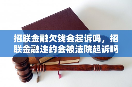 招联金融欠钱会起诉吗，招联金融违约会被法院起诉吗