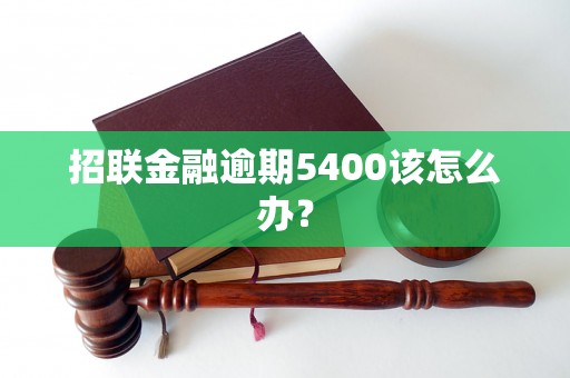 招联金融逾期5400该怎么办？