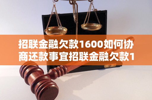 招联金融欠款1600如何协商还款事宜招联金融欠款1600元可以怎样协商还款方式招联金融欠款1600元应如何协商还款计划招联金融欠款1600元可以通过哪些途径进行协商还款