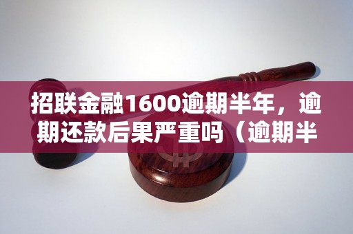 招联金融1600逾期半年，逾期还款后果严重吗（逾期半年的后果及解决方法）