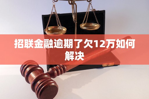 招联金融逾期了欠12万如何解决