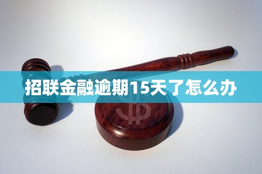 招联金融逾期15天了怎么办