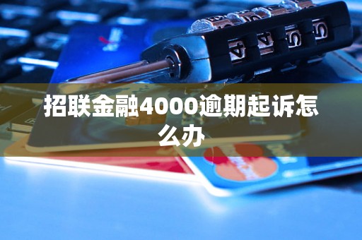 招联金融4000逾期起诉怎么办