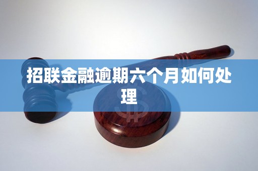 招联金融逾期六个月如何处理