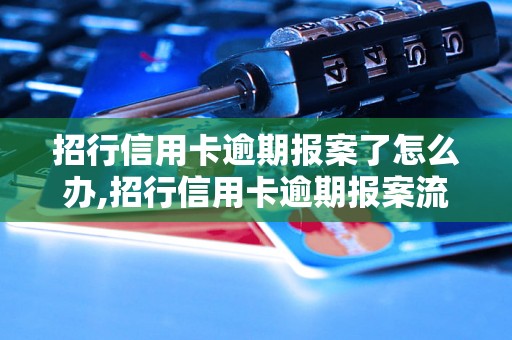 招行信用卡逾期报案了怎么办,招行信用卡逾期报案流程解析