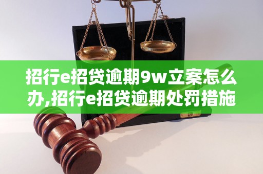 招行e招贷逾期9w立案怎么办,招行e招贷逾期处罚措施