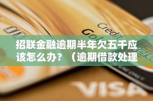 招联金融逾期半年欠五千应该怎么办？（逾期借款处理方法分享）