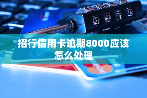 招行信用卡逾期8000应该怎么处理