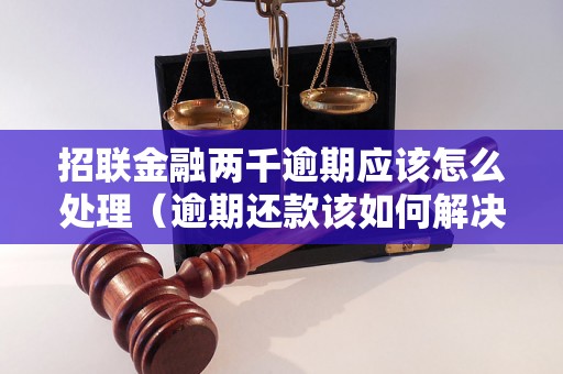 招联金融两千逾期应该怎么处理（逾期还款该如何解决）