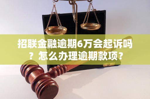 招联金融逾期6万会起诉吗？怎么办理逾期款项？