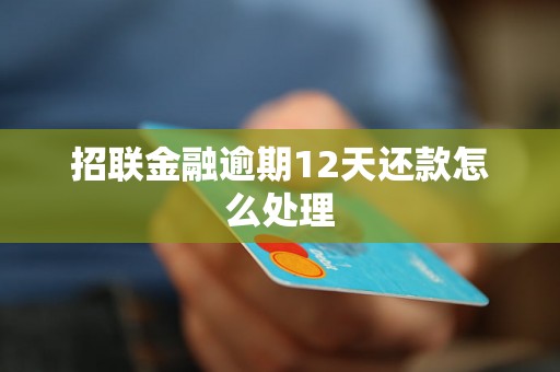 招联金融逾期12天还款怎么处理