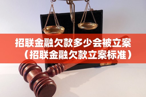 招联金融欠款多少会被立案（招联金融欠款立案标准）