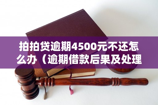 拍拍贷逾期4500元不还怎么办（逾期借款后果及处理方法）