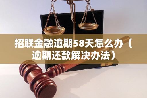 招联金融逾期58天怎么办（逾期还款解决办法）