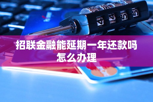 招联金融能延期一年还款吗怎么办理