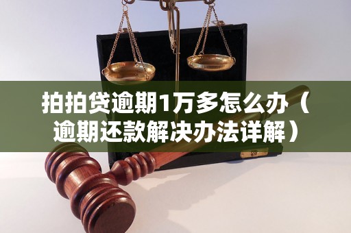 拍拍贷逾期1万多怎么办（逾期还款解决办法详解）