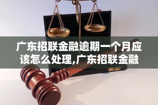 广东招联金融逾期一个月应该怎么处理,广东招联金融逾期一个月会有什么后果