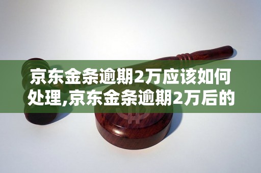 京东金条逾期2万应该如何处理,京东金条逾期2万后的解决办法