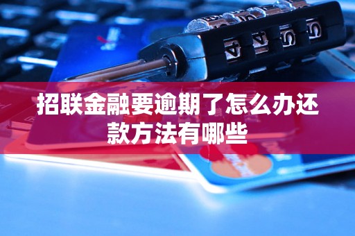 招联金融要逾期了怎么办还款方法有哪些