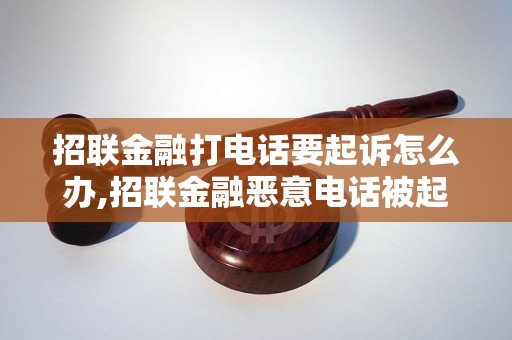 招联金融打电话要起诉怎么办,招联金融恶意电话被起诉的结果