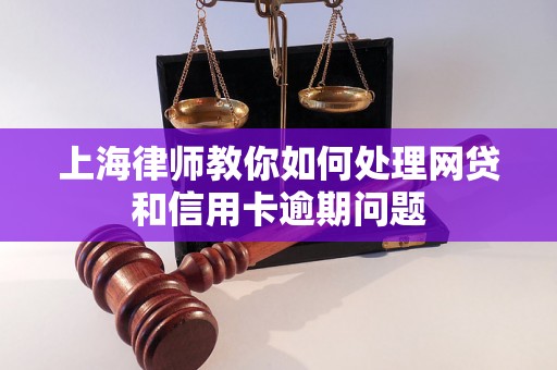 上海律师教你如何处理网贷和信用卡逾期问题