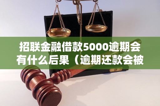 招联金融借款5000逾期会有什么后果（逾期还款会被追加什么费用）