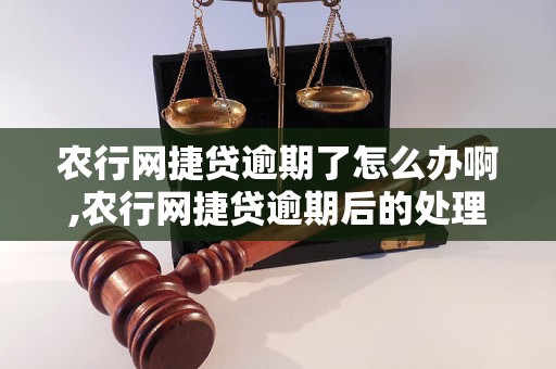 农行网捷贷逾期了怎么办啊,农行网捷贷逾期后的处理方法和注意事项