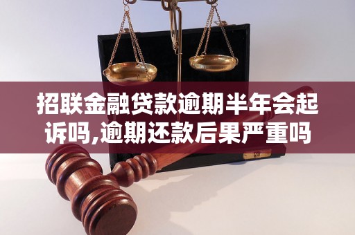 招联金融贷款逾期半年会起诉吗,逾期还款后果严重吗