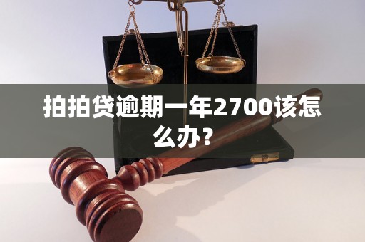 拍拍贷逾期一年2700该怎么办？