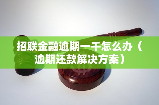 招联金融逾期一千怎么办（逾期还款解决方案）