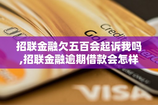 招联金融欠五百会起诉我吗,招联金融逾期借款会怎样处理