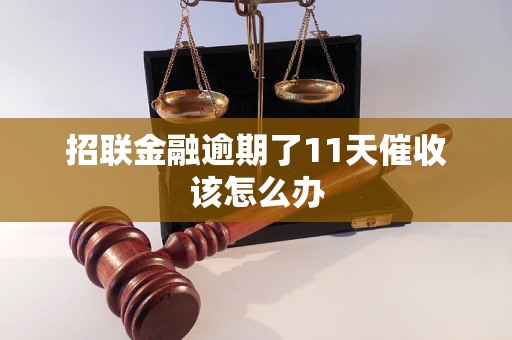 招联金融逾期了11天催收该怎么办