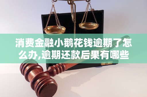 消费金融小鹅花钱逾期了怎么办,逾期还款后果有哪些