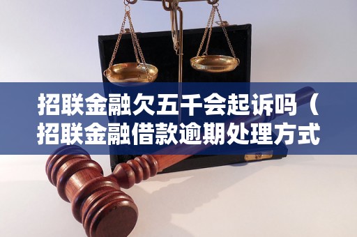 招联金融欠五千会起诉吗（招联金融借款逾期处理方式）