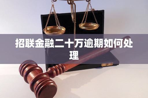 招联金融二十万逾期如何处理