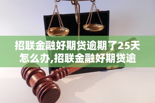 招联金融好期贷逾期了25天怎么办,招联金融好期贷逾期25天后果