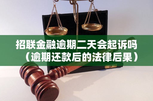 招联金融逾期二天会起诉吗（逾期还款后的法律后果）