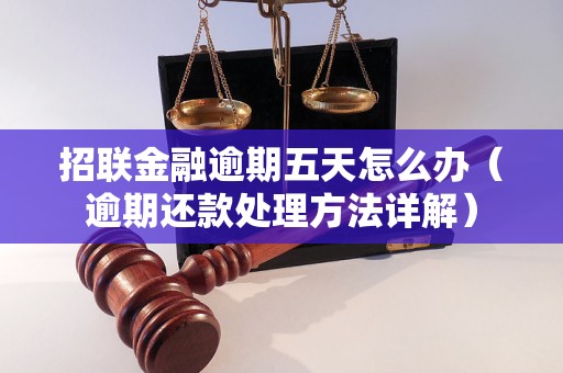 招联金融逾期五天怎么办（逾期还款处理方法详解）