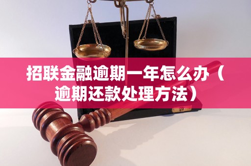 招联金融逾期一年怎么办（逾期还款处理方法）