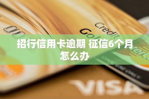 招行信用卡逾期 征信6个月怎么办