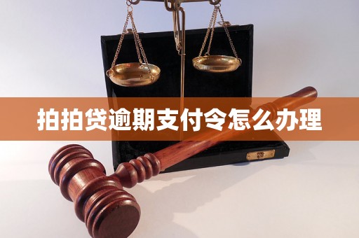 拍拍贷逾期支付令怎么办理