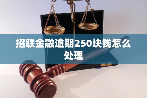 招联金融逾期250块钱怎么处理