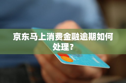 京东马上消费金融逾期如何处理？