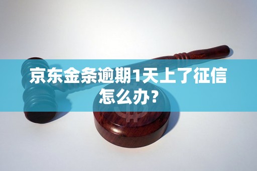 京东金条逾期1天上了征信怎么办？