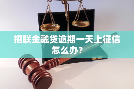 招联金融贷逾期一天上征信怎么办？