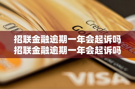 招联金融逾期一年会起诉吗招联金融逾期一年会起诉吗招联金融逾期一年会起诉吗