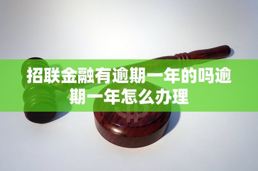 招联金融有逾期一年的吗逾期一年怎么办理