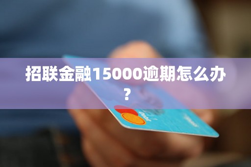 招联金融15000逾期怎么办？